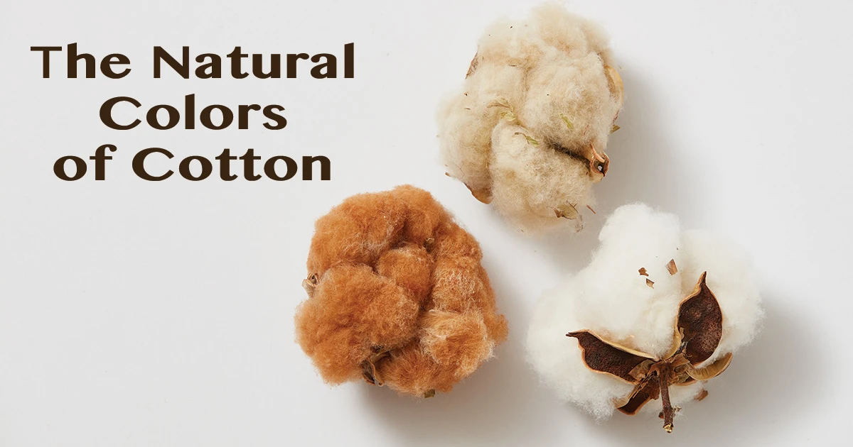 natural cotton colours